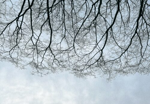 2026 4月 営業案内